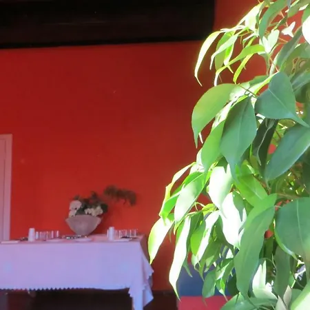 Parravicini