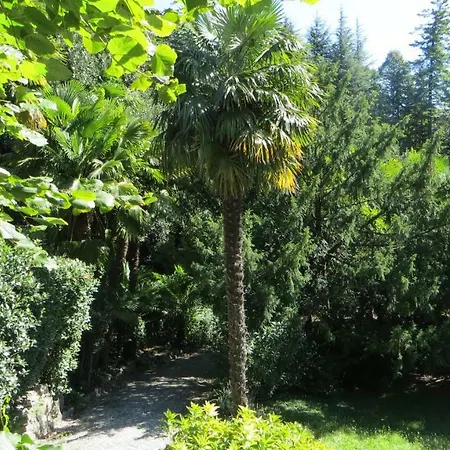 Parravicini